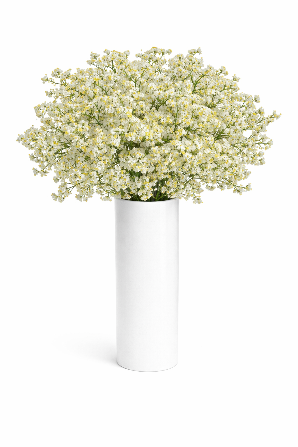 White and Yellow Limonium