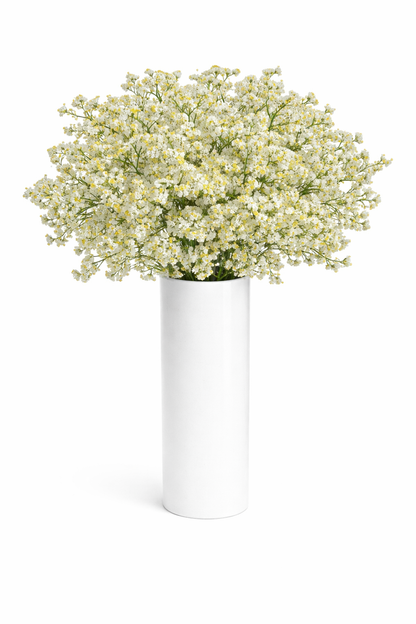 White and Yellow Limonium