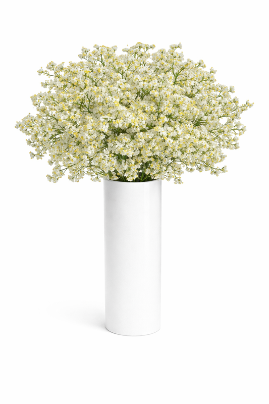 White and Yellow Limonium