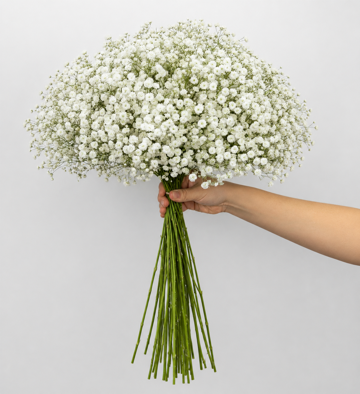 White Baby's Breath Bouquets