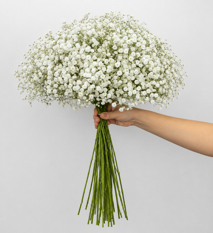 White Baby's Breath Bouquets