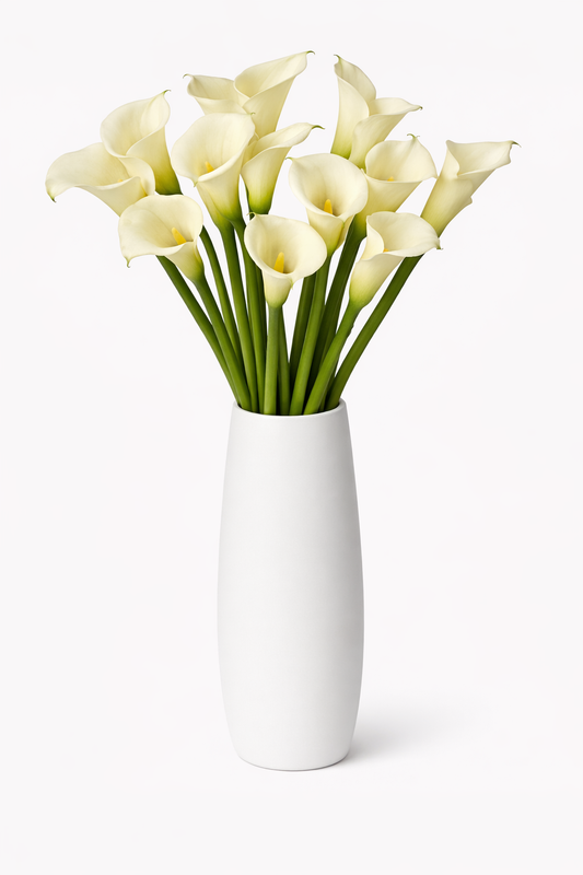 White Calla Lilies