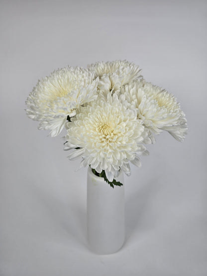 White Cremon Mums