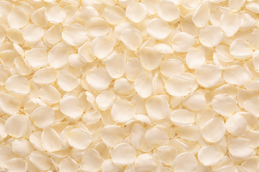 White Fresh Rose Petals