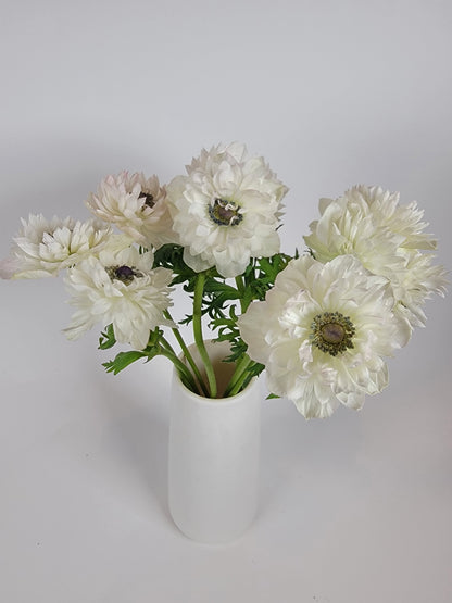 White Levante Anemone