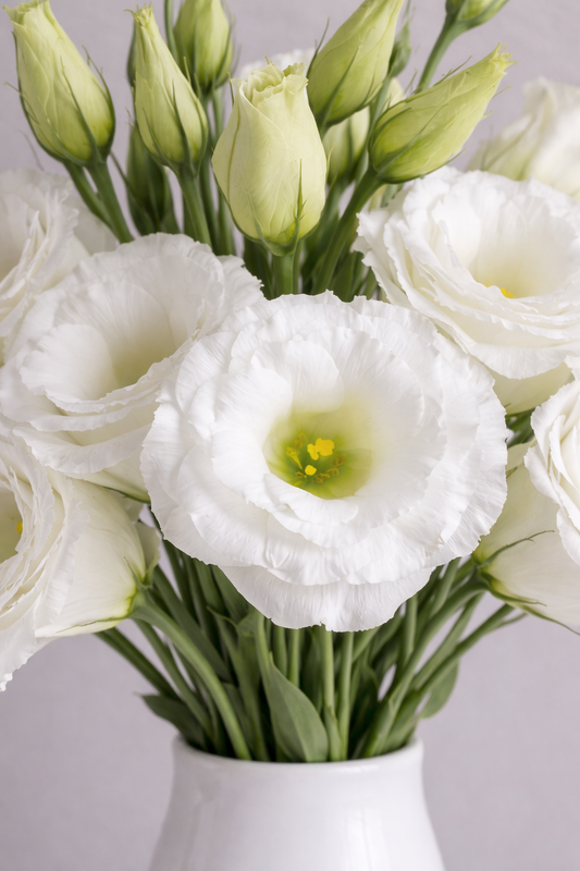 White Lisianthus