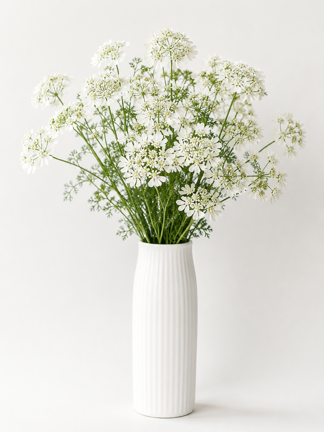 White Orlaya Lace Flowers
