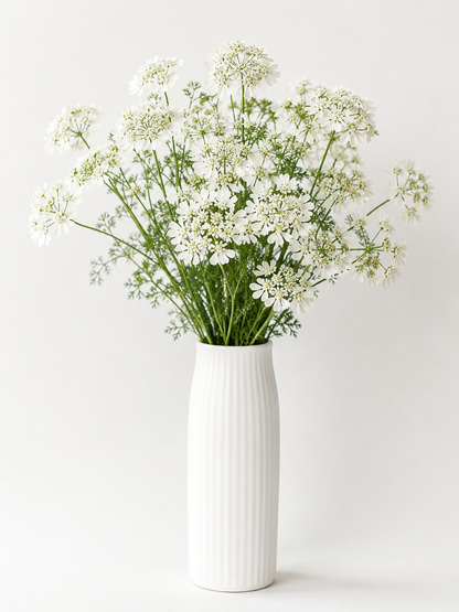 White Orlaya Lace Flowers