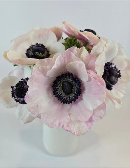 White Romance Anemone and Ranunculus Box