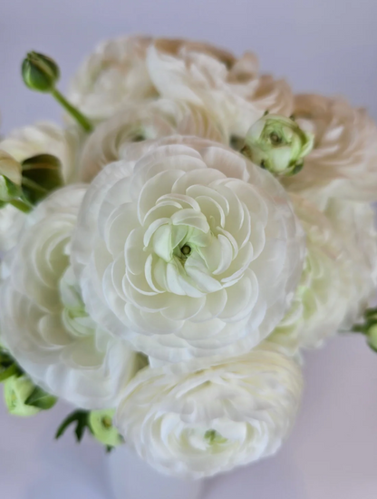 White Romance Anemone and Ranunculus Box