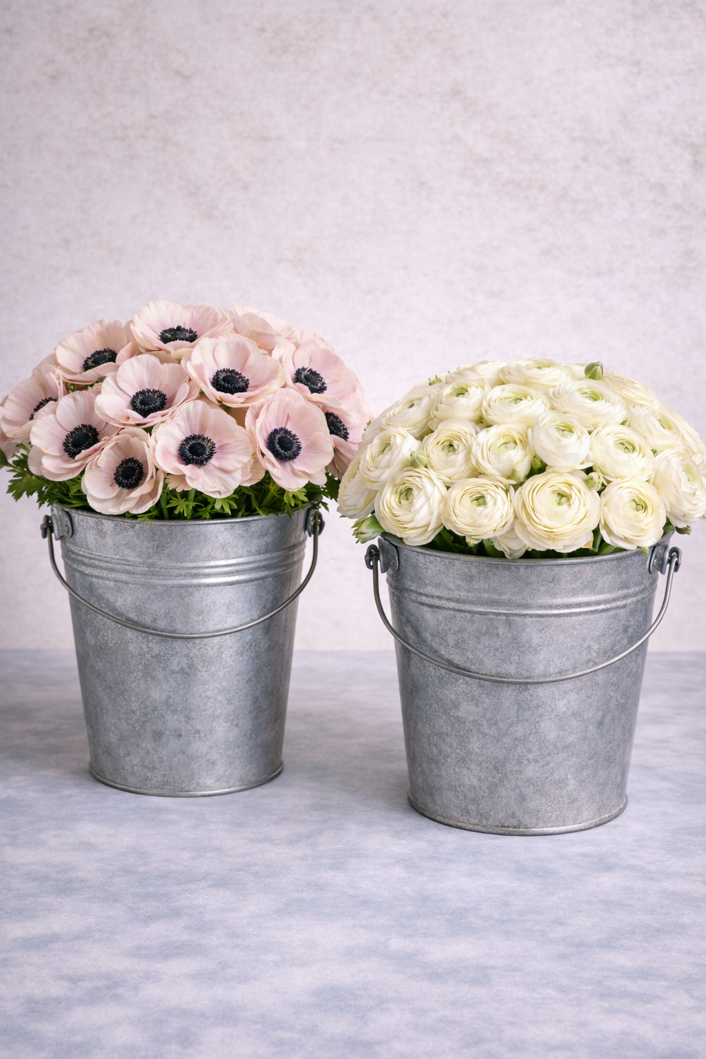 White Romance Anemone and Ranunculus Box