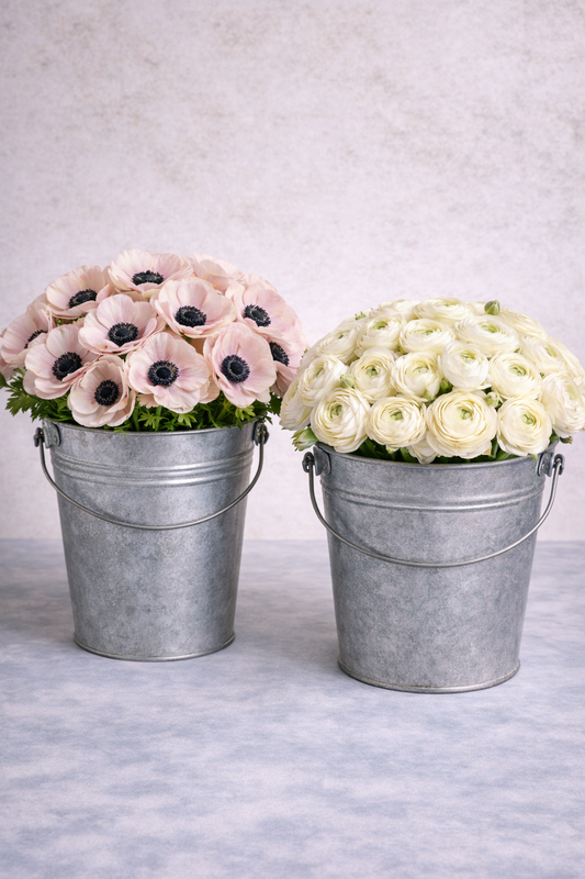 White Romance Anemone and Ranunculus Box