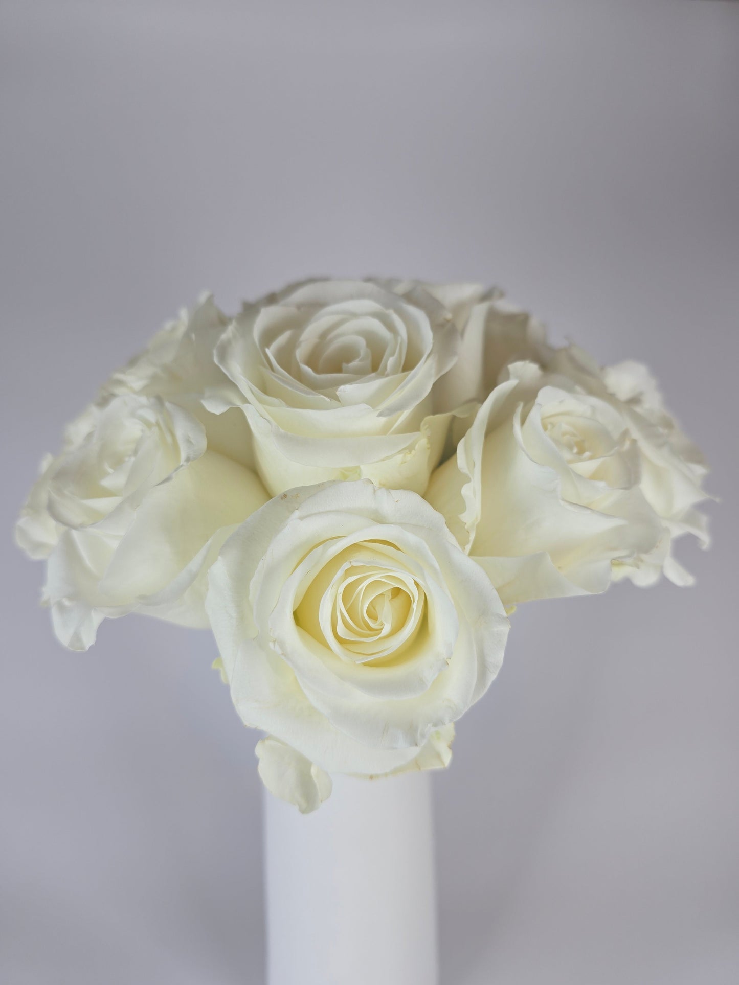 White Rose Box