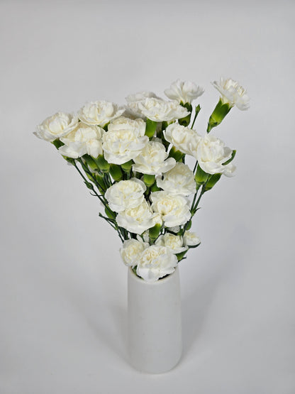 White Spray Carnations