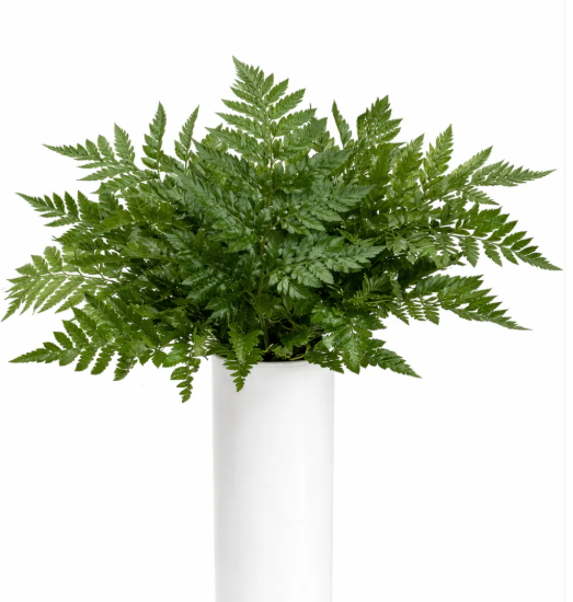 White Wedding Flower Box