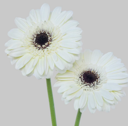 White Wedding Flower Box