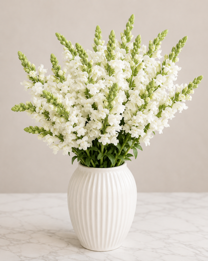 White Wedding Flower Box