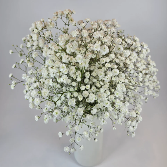 White Wedding Flower Box