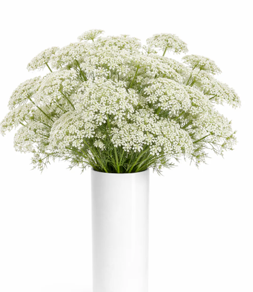 White Wedding Flower Box