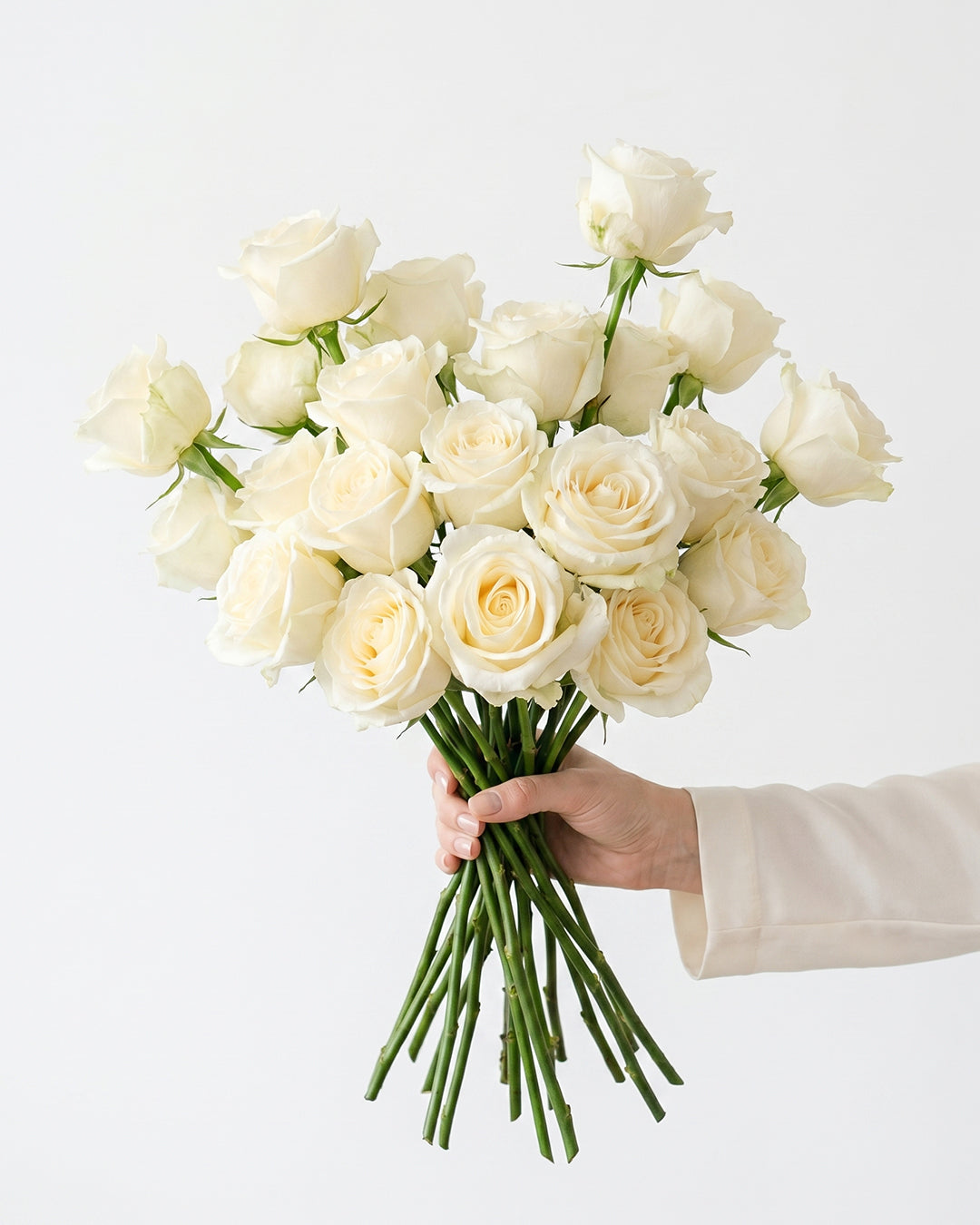 White Chocolate Ivory Roses