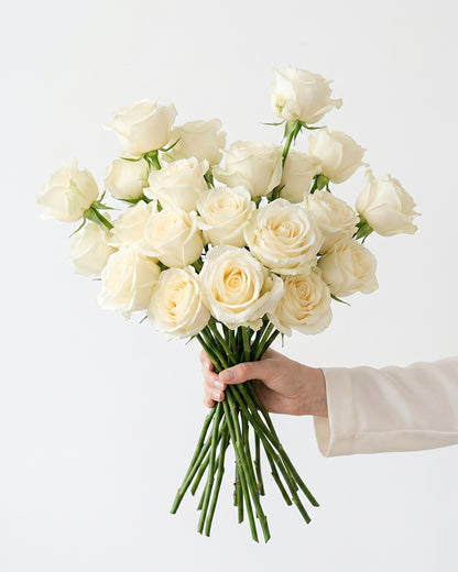 White Chocolate Ivory Roses
