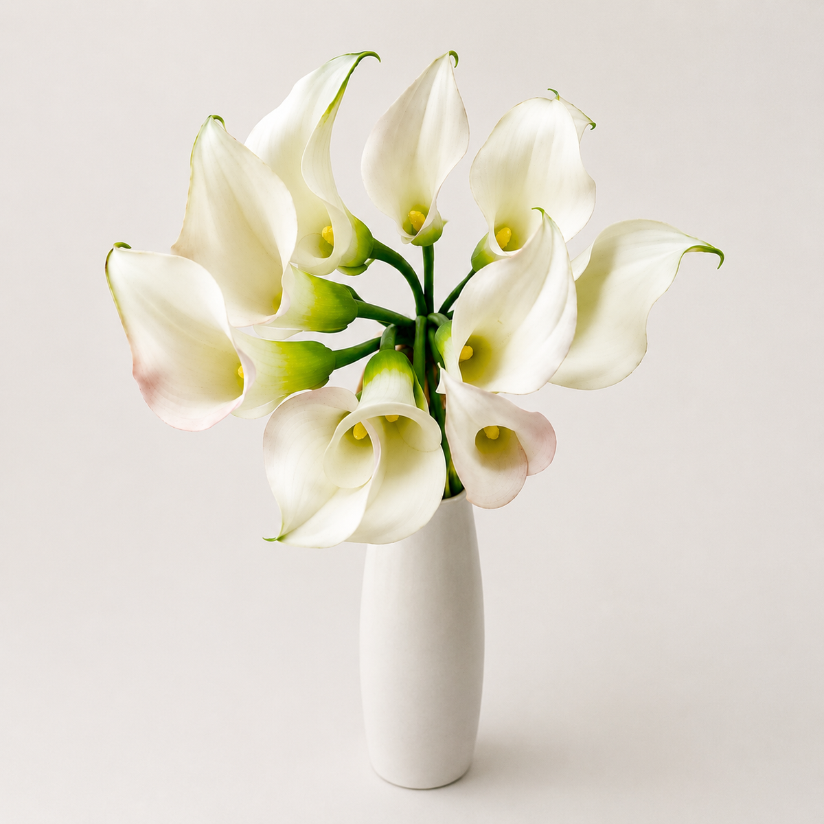 White Mini Calla Lily