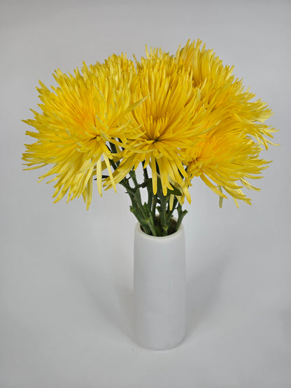 Yellow Anastasia Spider Mums