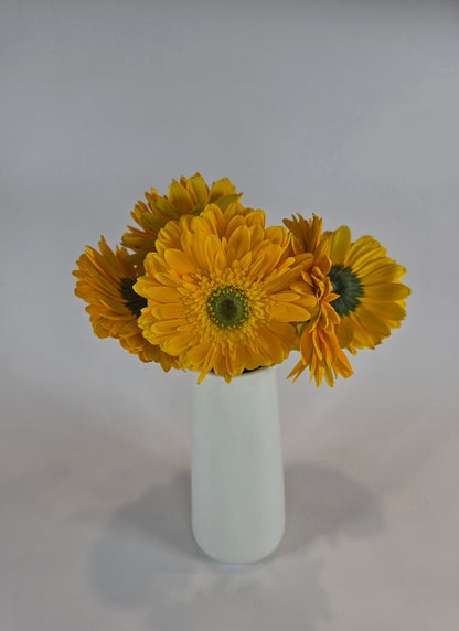 Yellow Gerbera Daisy