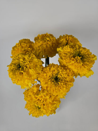 Yellow Marigolds