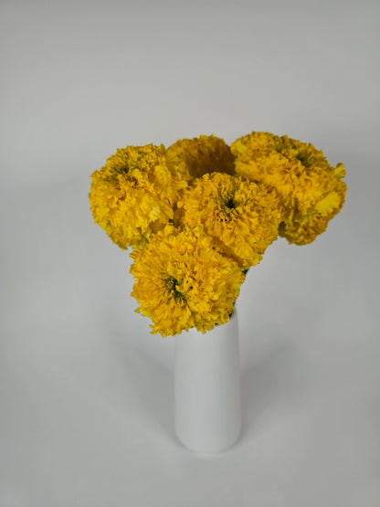 Yellow Marigolds