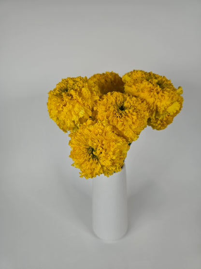 Yellow Marigolds