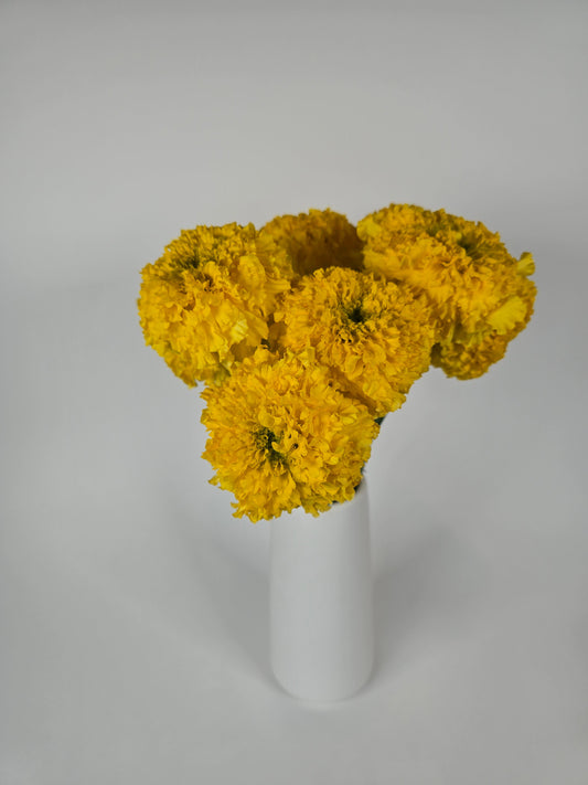 Yellow Marigolds