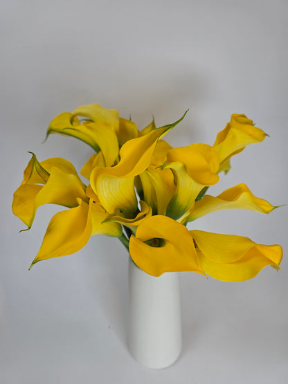 Yellow Mini Calla Lily
