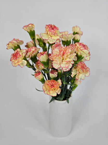 Yellow with Pink Edges Spray Mini Carnations